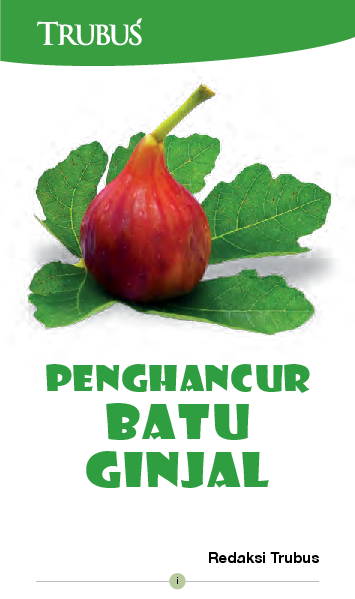 Penghancur Batu Ginjal