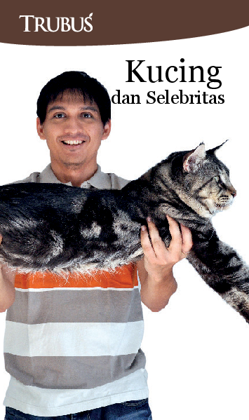 Kucing dan Selebritas