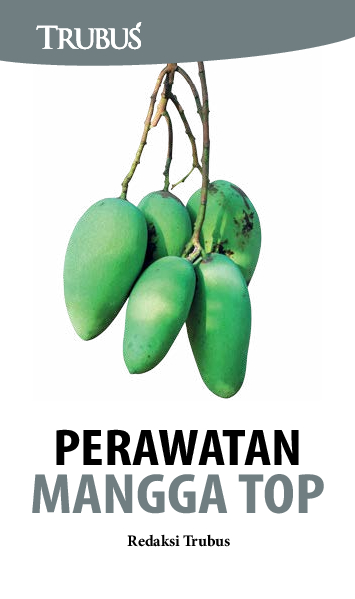 Perawatan Mangga Top