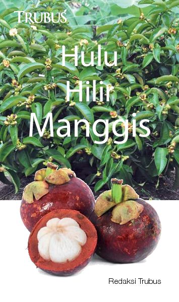 Hulu Hilir Manggis