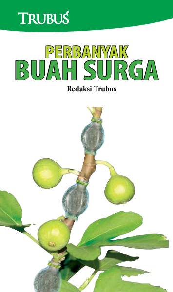 Perbanyak Buah Surga