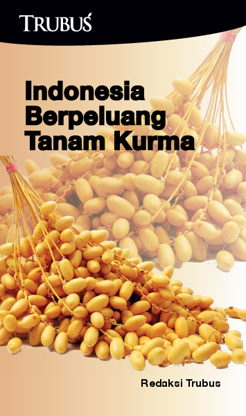 Indonesia Berpeluang Tanam Kurma