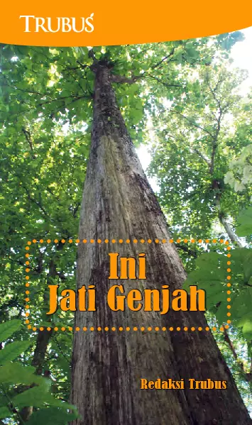 Ini Jati Genjah