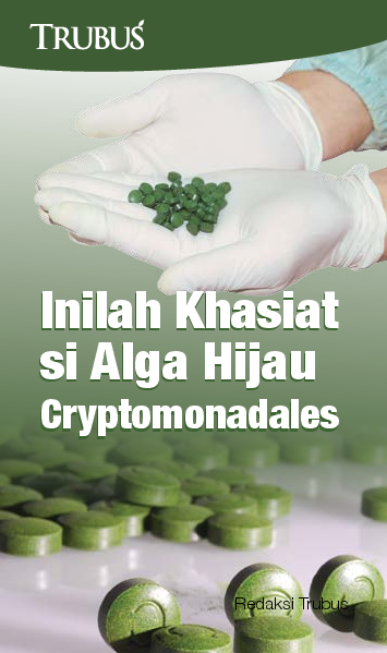 Inilah Khasiat si Alga Hijau Cryptomonadales