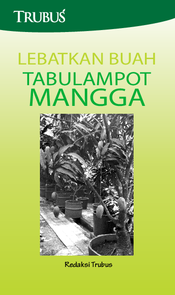 Lebatkan Buah Tabulampot Mangga