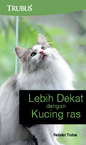 Lebih Dekat dengan Kucing Ras