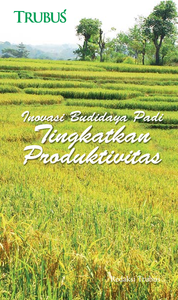 Inovasi Budidaya Padi Tingkatkan Produktivitas