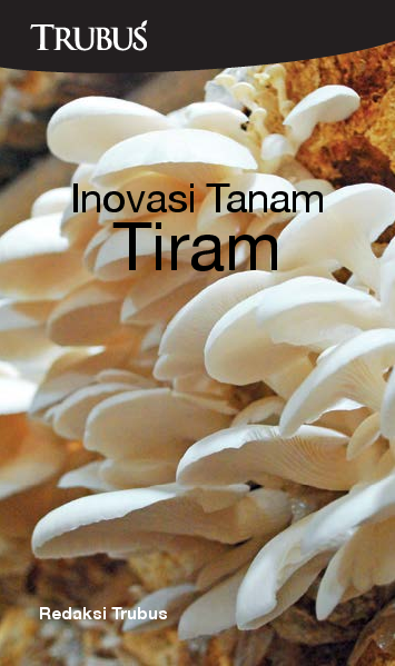 Inovasi Tanam Tiram