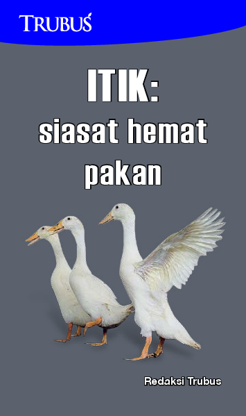 Itik: Siasat Hemat Pakan