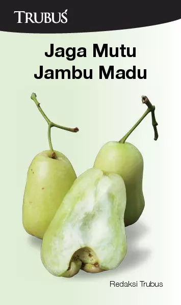 Jaga Mutu Jambu Madu