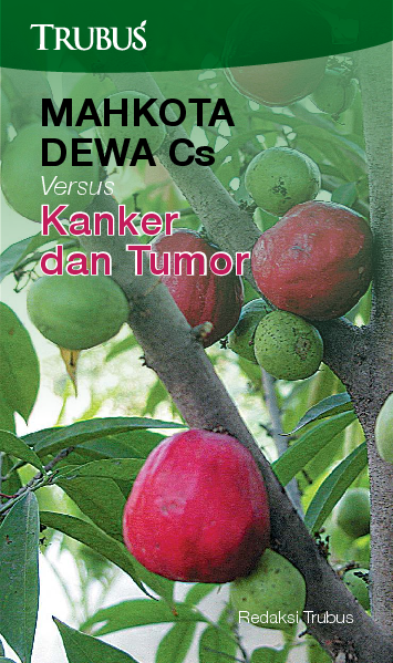 Mahkota Dewa Cs Versus Kanker dan Tumor