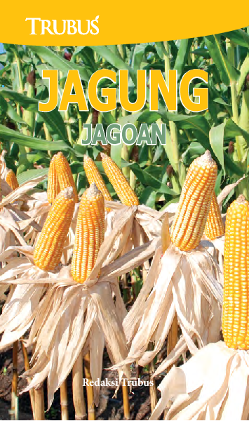 Jagung Jagoan