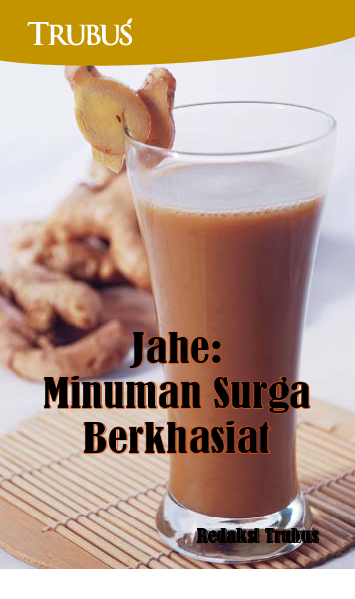 Jahe: Minuman Surga Berkhasiat