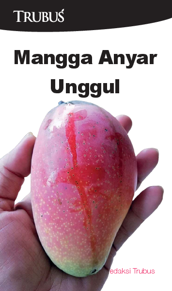 Mangga Anyar Unggul