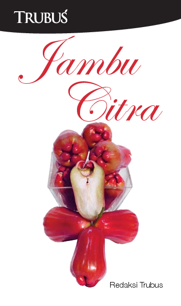 Jambu Citra