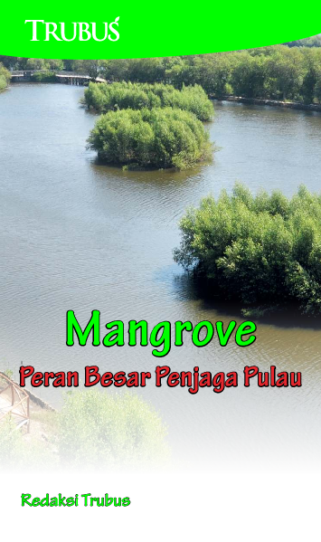 Mangrove : Peran Besar Penjaga Pulau