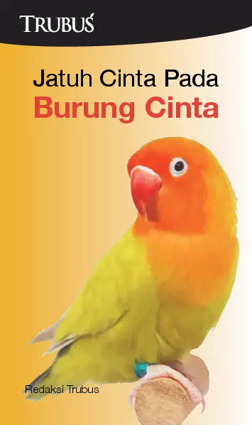 Jatuh Cinta Pada Burung Cinta