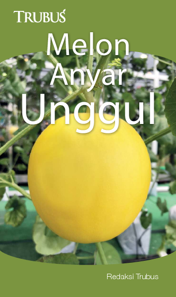 Melon Anyar Unggul