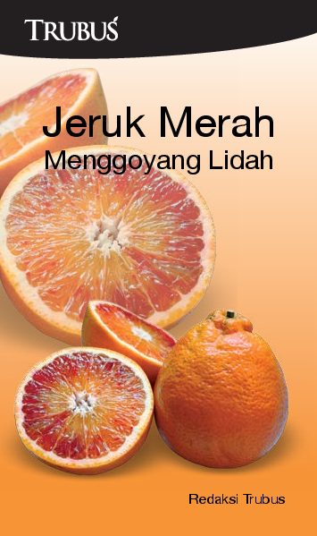 Jeruk Merah Menggoyang Lidah