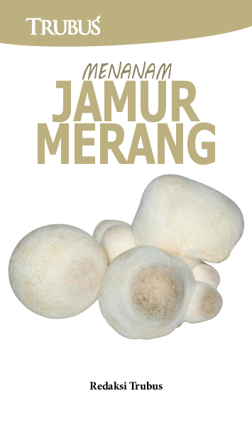 Menanam Jamur Merang