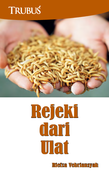 Rejeki dari Ulat