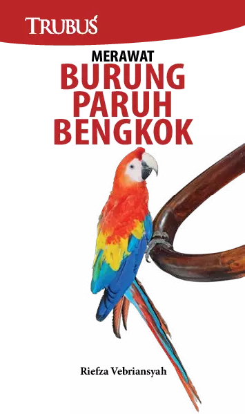 Merawat Burung Paruh Bengkok