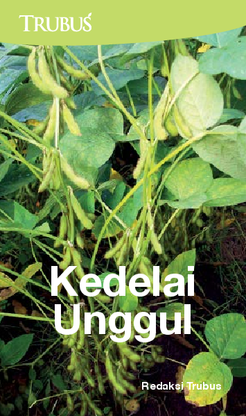 Kedelai Unggul