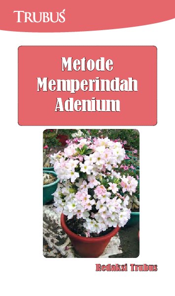 Metode Memperindah Adenium