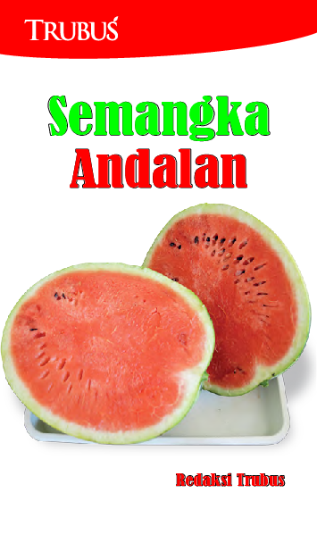 Semangka Andalan