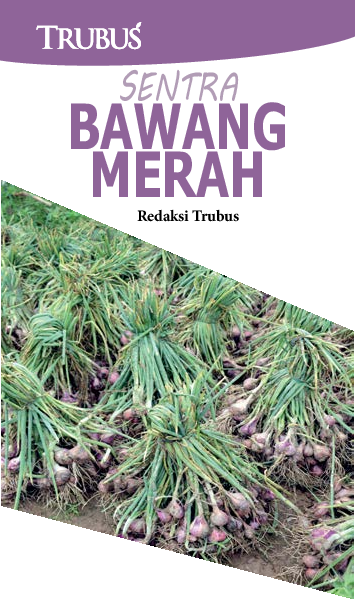 Sentra Bawang Merah