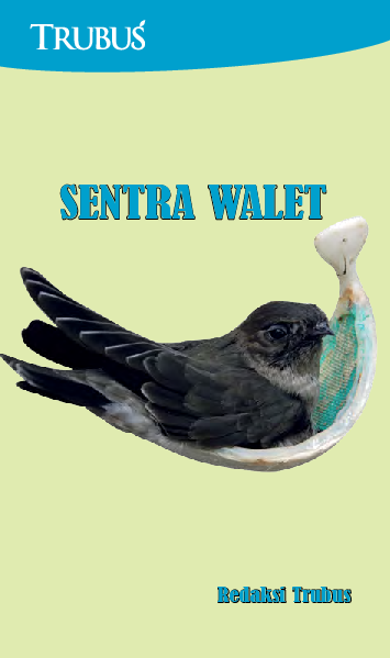 Sentra Walet