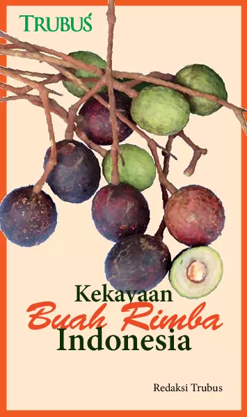 Kekayaan Buah Rimba Indonesia