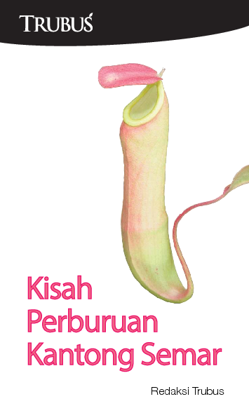 Kisah Perburuan Kantong Semar