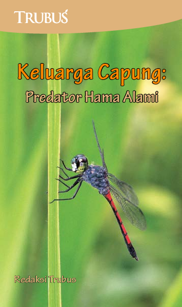 Keluarga Capung : Predator Hama Alami