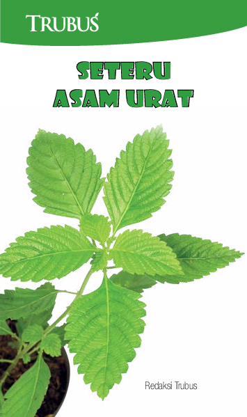 Seteru Asam Urat