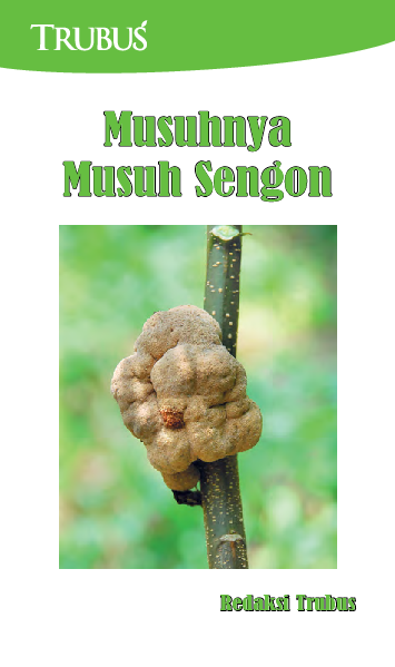 Musuhnya Musuh Sengon