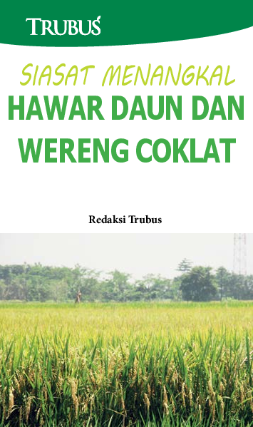 Siasat Menangkal Hawar Daun dan Wereng Cokelat