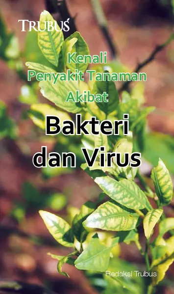 Kenali Penyakit Tanaman Akibat Bakteri dan Virus