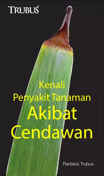 Kenali Penyakit Tanaman Akibat Cendawan