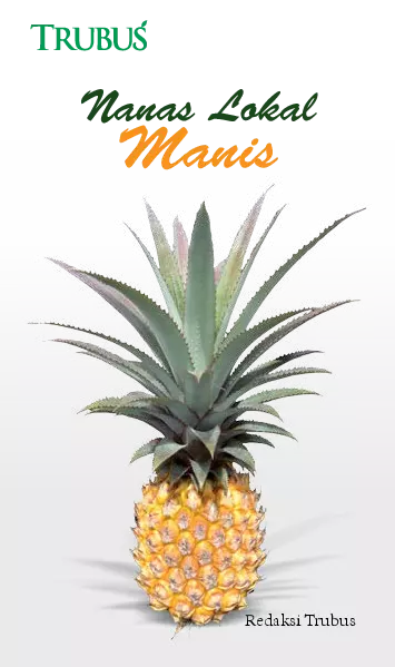 Nanas Lokal Manis