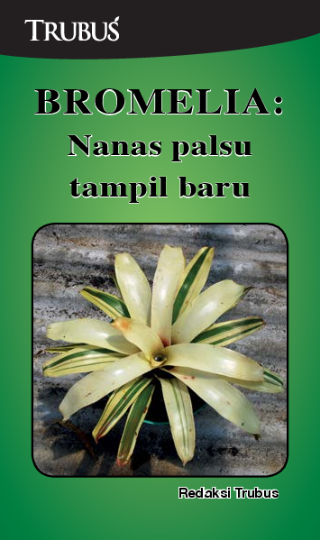 Nanas Palsu Tampil Baru: Bromelia