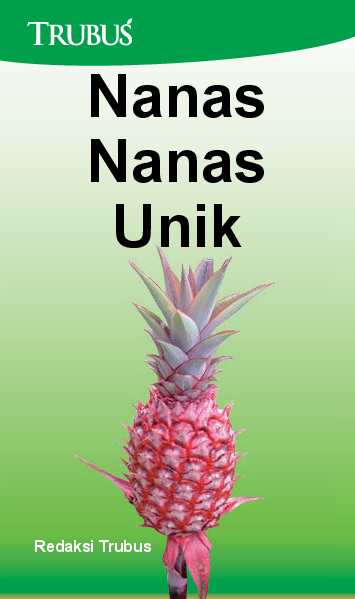 Nanas-Nanas Unik