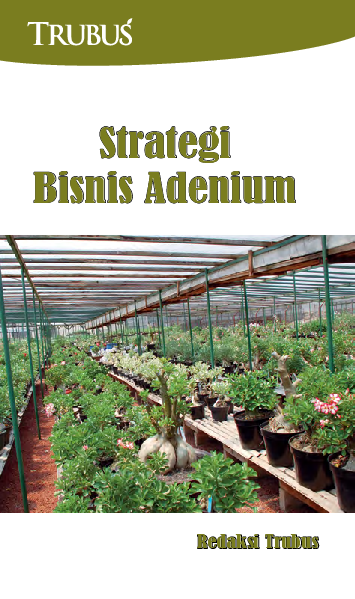 Strategi Bisnis Adenium