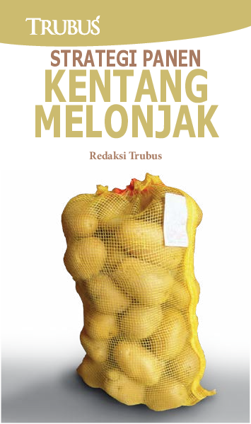 Strategi Panen Kentang Melonjak