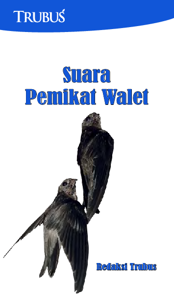 Suara Pemikat Walet