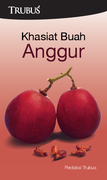 Khasiat Buah Anggur