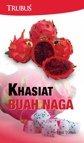 Khasiat Buah Naga