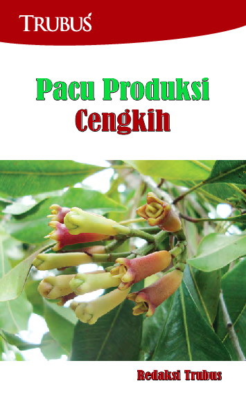 Pacu Produksi Cengkih