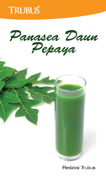 Panasea Daun Pepaya