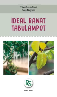 Ideal Rawat Tabulampot